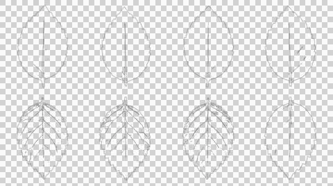 Set of eight hand drawn leaf sketches isolated on white background for bota.. Stock Illustration