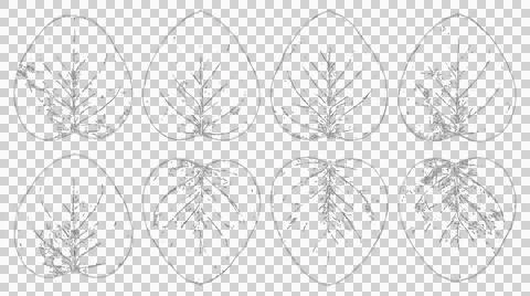 Set of eight isolated black and white leaf silhouettes with detailed vein t.. Stock Illustration