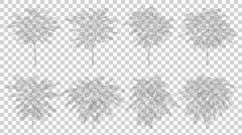 Set of eight isolated black and white tree silhouettes for architectural de.. 스톡 일러스트