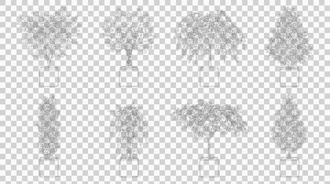 Set of eight potted plant elevation sketches isolated on transparent backgrou Stock Illustration
