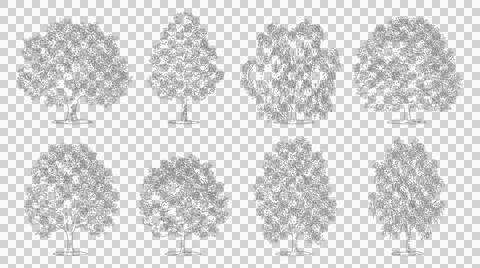 Set of eight tree sketches isolated on transparent background for plans Stock Illustration