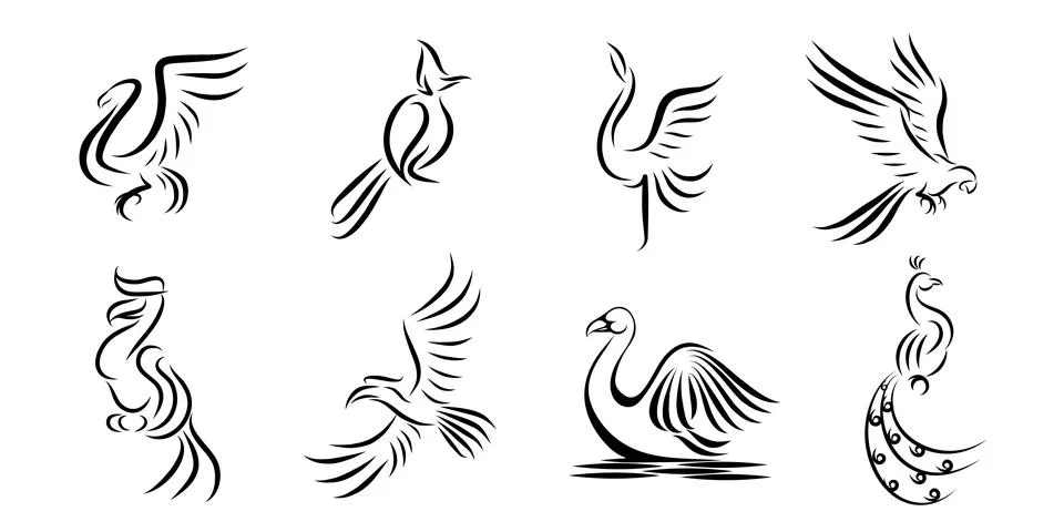 Set of eight vector images of different birds. Stock Illustration