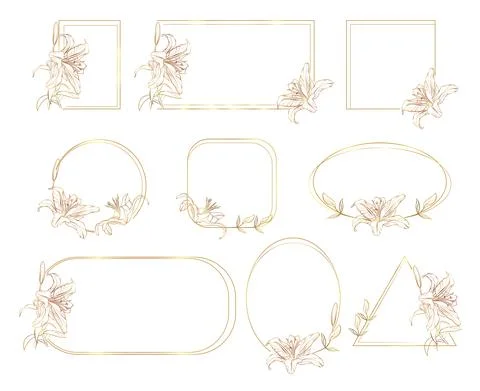 Set of elegant floral logo elements . Frame corners and branch. Boho Hand drawn Illustrazione stock