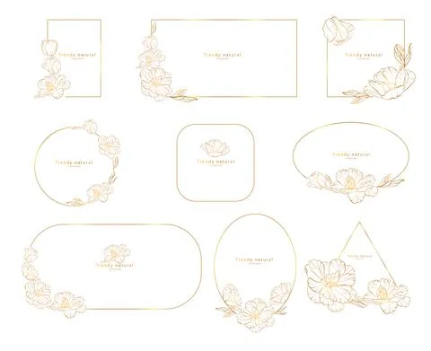 Set of elegant floral logo elements . Frame corners and branch. Boho Hand drawn Illustrazione stock