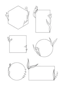 Set of elegant templates with hand drawn botanical elements イラスト素材