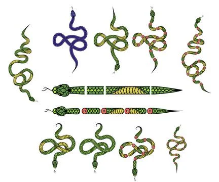 A set of elements for creating a design with a snake, Snakes in different int Stockillustratie
