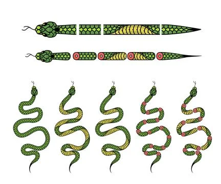 A set of elements for creating a design with a snake, Snakes in different int Stock Illustration