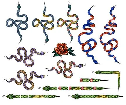 A set of elements for creating a design with a snake, Snakes in different int Stock Illustration