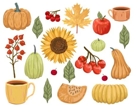 Set of elements for design on an autumn theme. Vegetables, berries and plants 스톡 일러스트