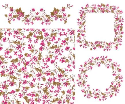 Set of elements from drawing blooming pink wild Malva silvestris Stockillustratie