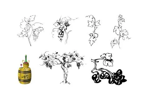 Set of elements for grape theme: berries, leaves, stems Stock Illustration