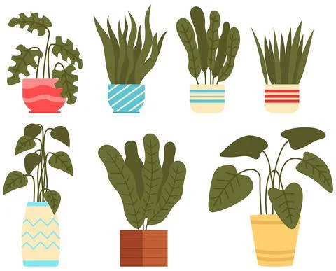 Set of elements for interior design. Home decorative and deciduous plants Stock Illustration