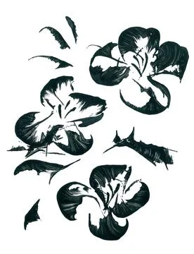Set of elements of large apple flowers in black and white Japanese style Stock Illustration