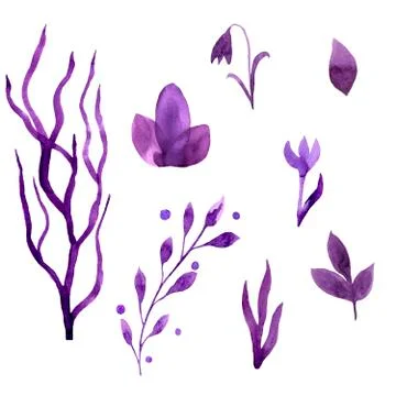 A set of elements of lilac flowers Stock Illustration