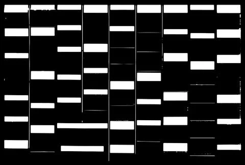 Set of elements, old abstract frames vector illustration. Stock Illustration