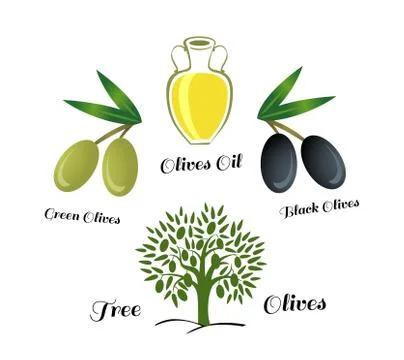 Set of elements of olive oil. Branch with green olives Stock Illustration