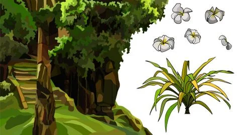 Set of elements overgrown with stone structure and tropical plants Stock Illustration