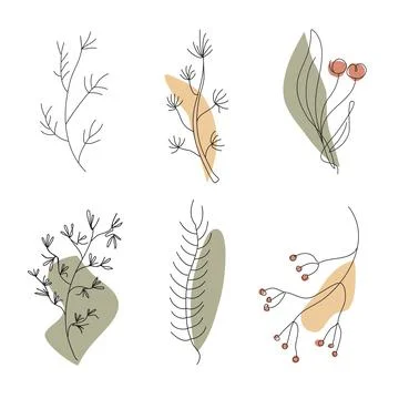 Set of elements Plant branches. Clipart, elements for the design of cards, ba Stock Illustration