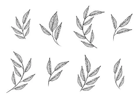 Set elements set collection of leaves herbs Stock Illustration