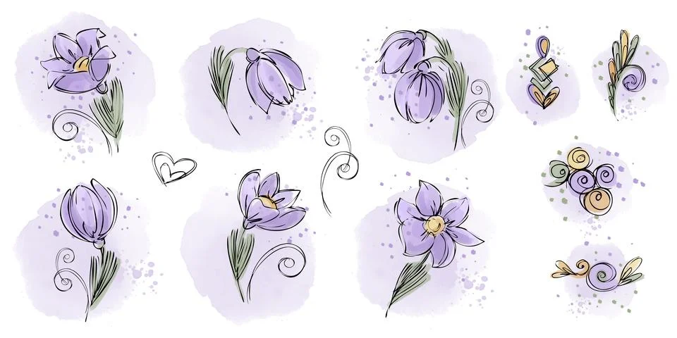 A set of elements, snowdrops on a white background. Spring flowers on a white Illustrazione stock