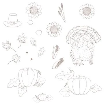Set of elements for Thanksgiving. Stock Illustration