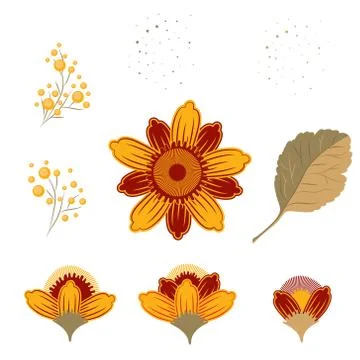 Set of elements Vintage Botanical Illustration. Flower on a stalk with leaves Stock Illustration