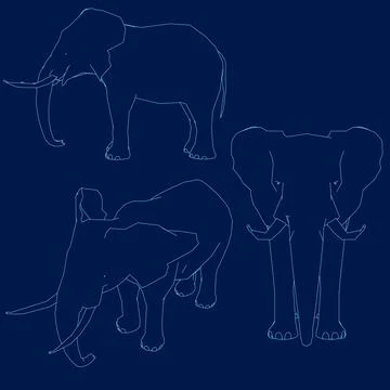 Set elephant contour vector illustration Illustrazione stock