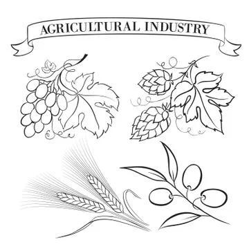 Set of emblems and labels. Stock Illustration