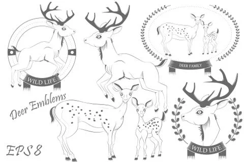 Set of emblems with deer Illustrazione stock