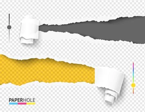 Set of empty color paper hole and scrolled torn piece on transparent. Vector Stock Illustration