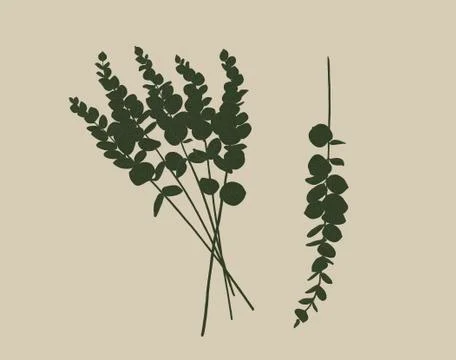 Set of eucalyptus branches isolated on a light background Stock Illustration