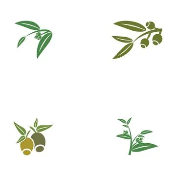 Set Eucalyptus leaves logo vector template design illustration Stock Illustration
