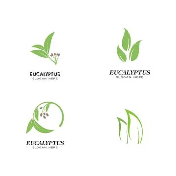 Set Eucalyptus leaves logo vector Stock Illustration