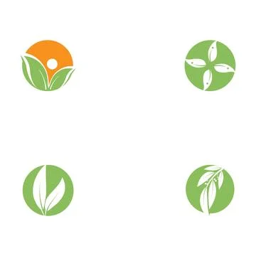 Set Eucalyptus leaves logo vector Stock Illustration
