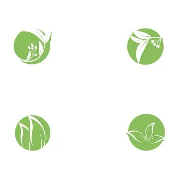 Set Eucalyptus leaves logo vector Stock Illustration