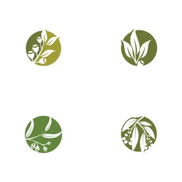 Set Eucalyptus leaves logo vector Stock Illustration