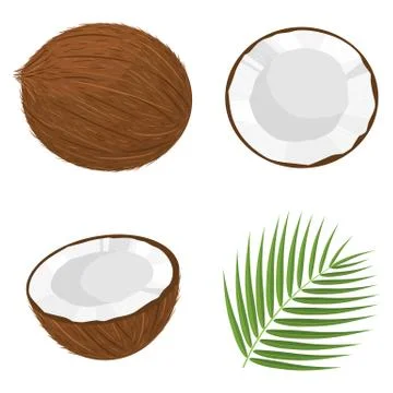 Set of exotic whole, half, cut slice coconut fruits and leaves isolated on wh Illustrazione stock