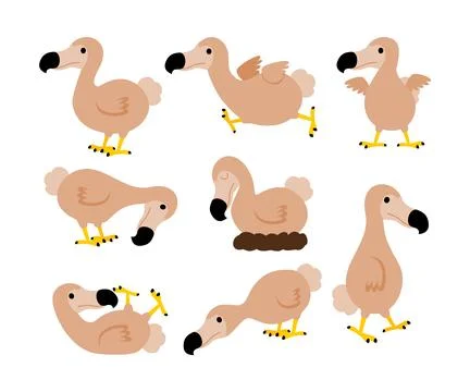 Set of extinct dodo bird cartoon collection, Raphus cucullatus illustration.. Stock Illustration