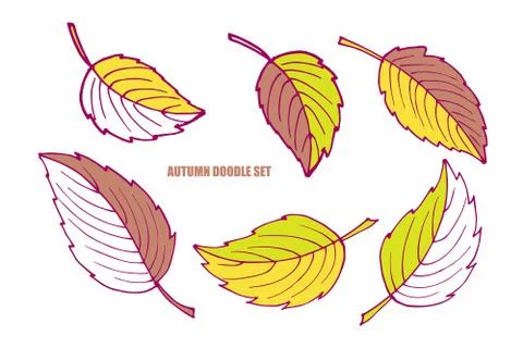 Set of fall leaves. Hand drawn vector Doodle sketch. Floral Herb Design elements 스톡 일러스트