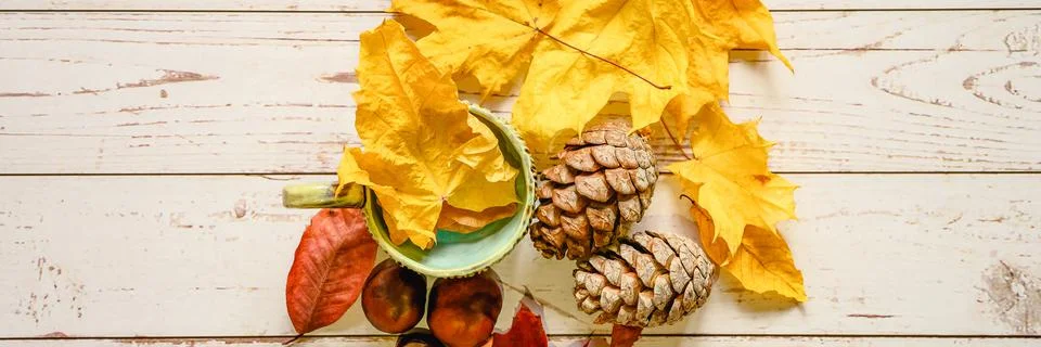A set of fall materials for children's creativity and crafts on a wooden tabl Stock Photos