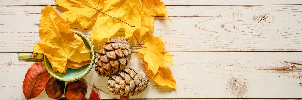 A set of fall materials for children's creativity and crafts on a wooden tabl Foto stock