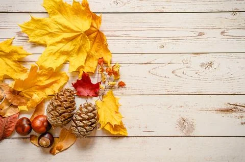 A set of fall materials for children's creativity and crafts on a wooden ta.. 写真素材