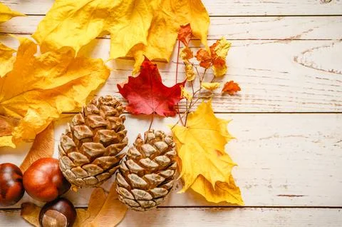 A set of fall materials for children's creativity and crafts on a wooden ta.. 写真素材