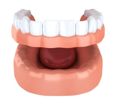 Set of false teeth, denture. 3d illustration Stockillustratie