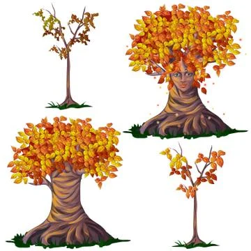 Set fantasy of deciduous trees in the fall isolated on white background. Vector Stock Illustration