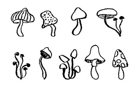 Set of fantasy mushrooms. Line art funny floral elements. Black chalk or pastel Stock Illustration