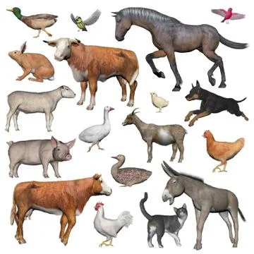 Set of farm animals - 3D render Stock Illustration