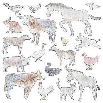 Set of farm animals Stock Illustration