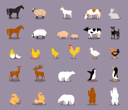 Set of Farm Animals. Stock Illustration