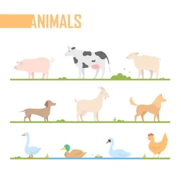 Set of farm animals - modern vector cartoon isolated illustration Illustrazione stock